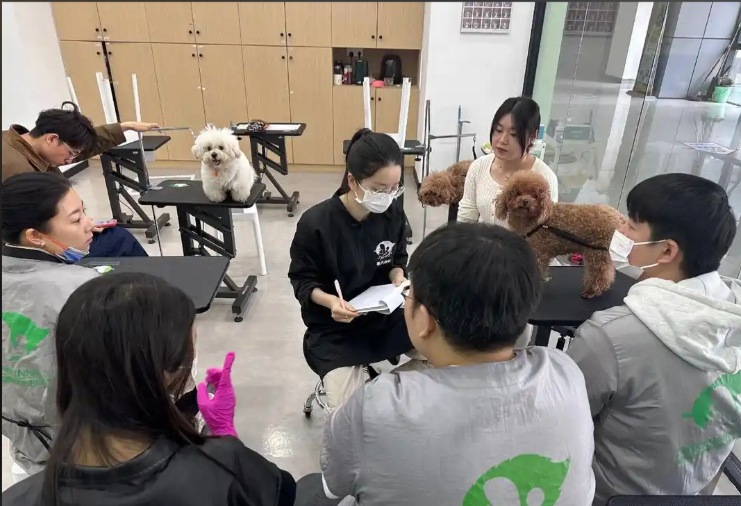 延安市宠物美容培训宠物美容培训学校 - 价格